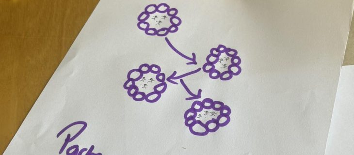 503857462_1031977375716287_2153347599709087016_n